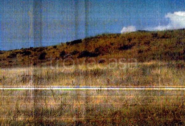 terreno agricolo in vendita a Scalea