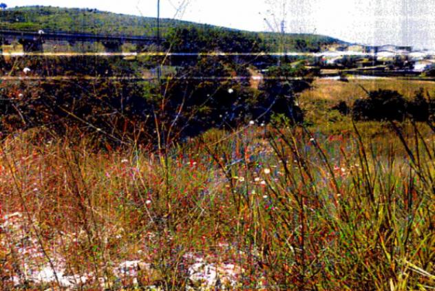 terreno agricolo in vendita a Scalea