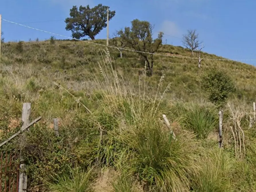 terreno agricolo in vendita a Scalea