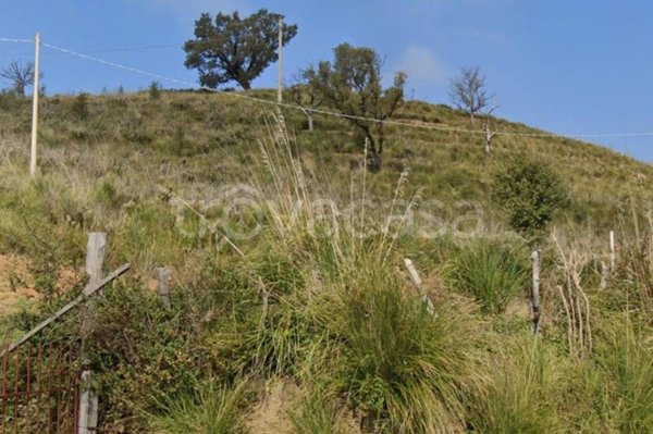 terreno agricolo in vendita a Scalea