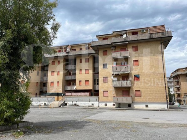 appartamento in vendita a Scalea