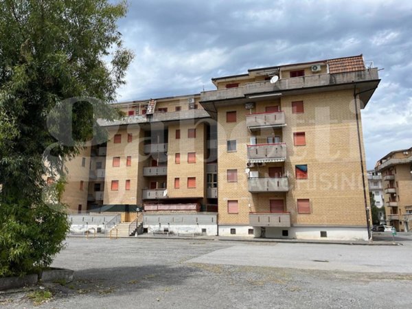 appartamento in vendita a Scalea