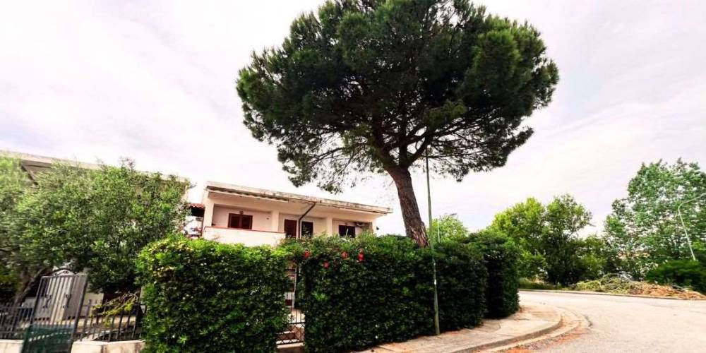 appartamento in vendita a Scalea