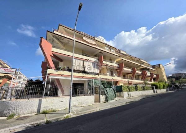 appartamento in vendita a Scalea