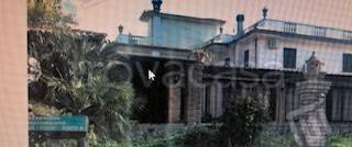 negozio in vendita a Scalea