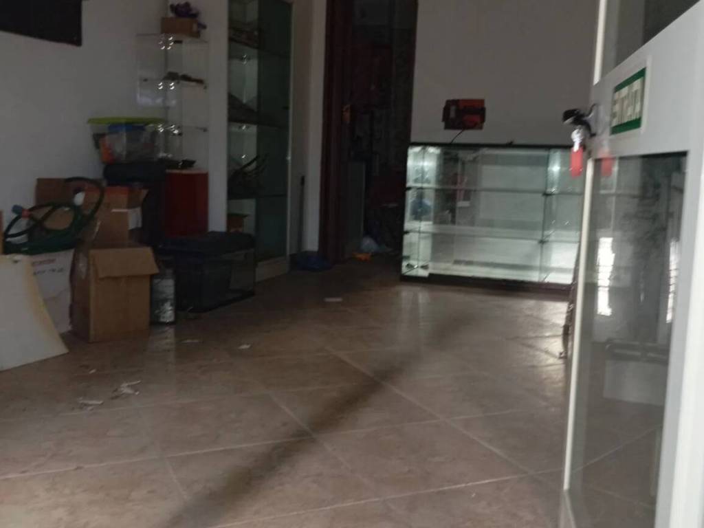 ufficio in vendita a Scalea