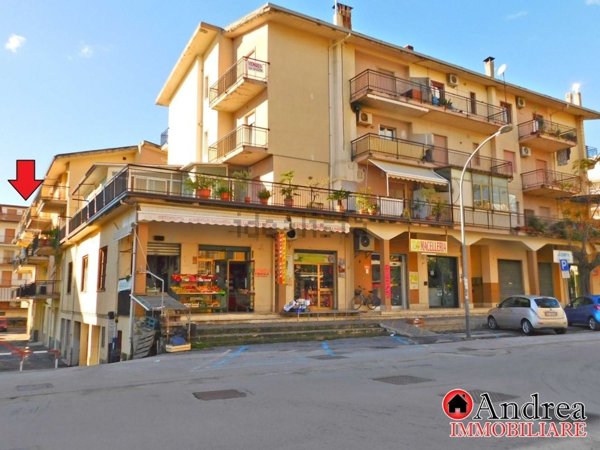 appartamento in vendita a Scalea