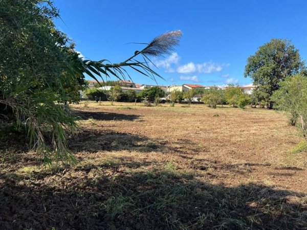 terreno agricolo in vendita a Scalea