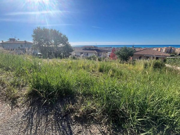 terreno agricolo in vendita a Scalea