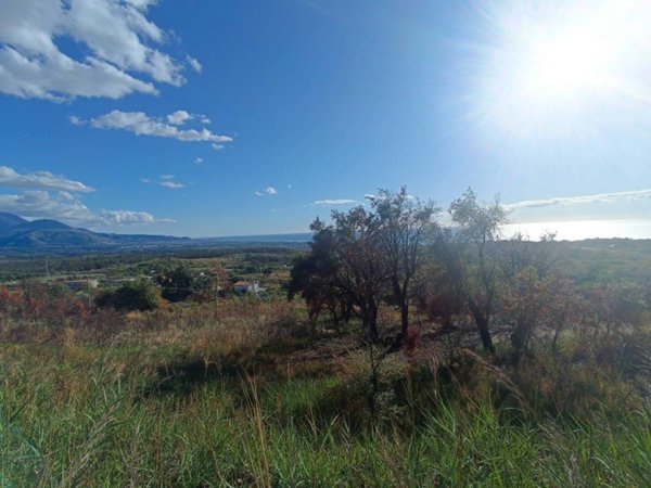 negozio in vendita a Scalea