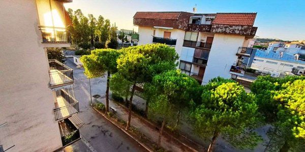 appartamento in vendita a Scalea