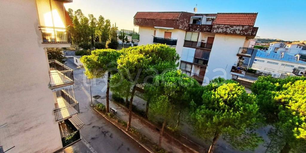 appartamento in vendita a Scalea