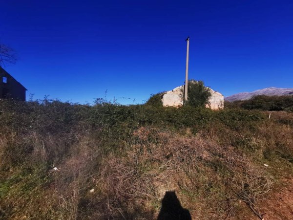 terreno agricolo in vendita a Scalea