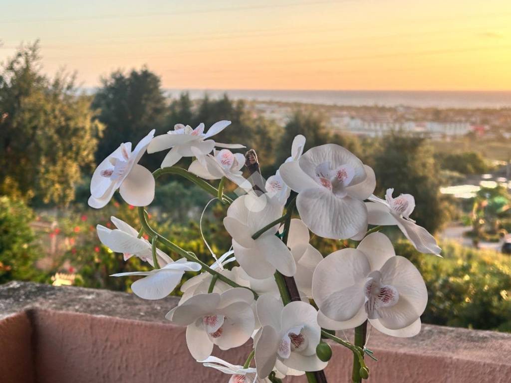 appartamento in vendita a Scalea