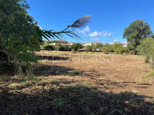 casa indipendente in vendita a Scalea