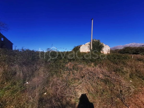 casa indipendente in vendita a Scalea