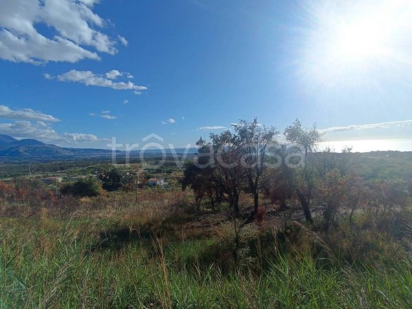 negozio in vendita a Scalea