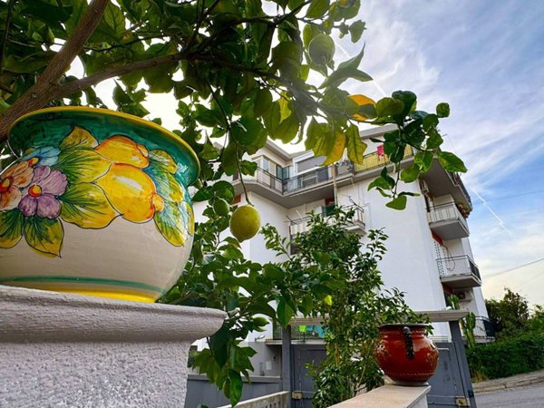 appartamento in vendita a Scalea