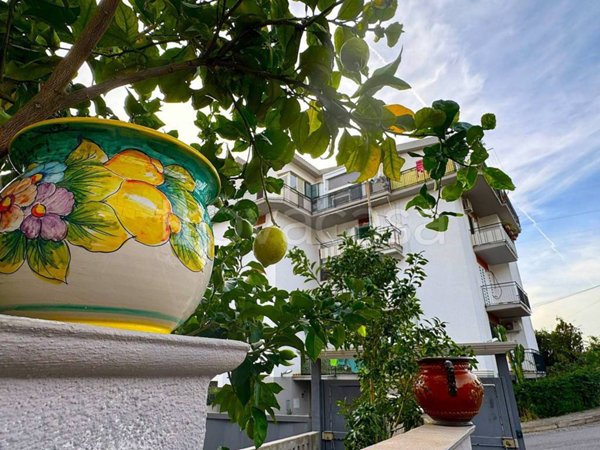 appartamento in vendita a Scalea