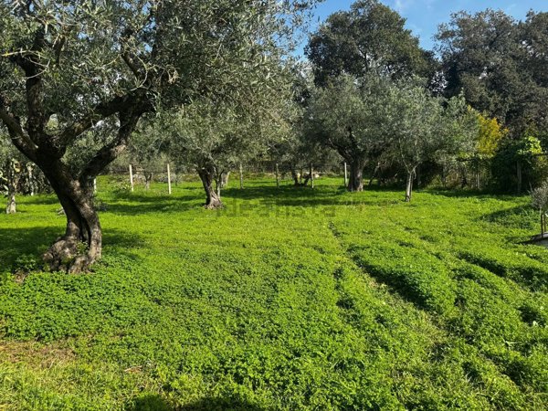 casa indipendente in vendita a Scalea