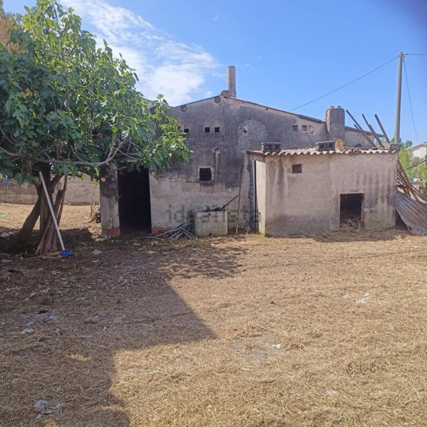 pentavano in vendita a Scalea