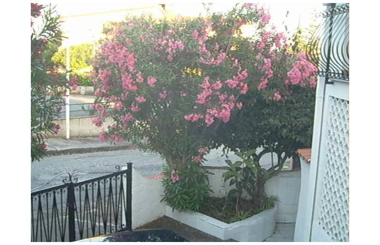 appartamento in vendita a Scalea