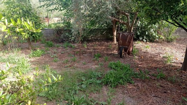 casa indipendente in vendita a Scalea