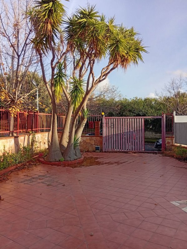 casa indipendente in vendita a Scalea