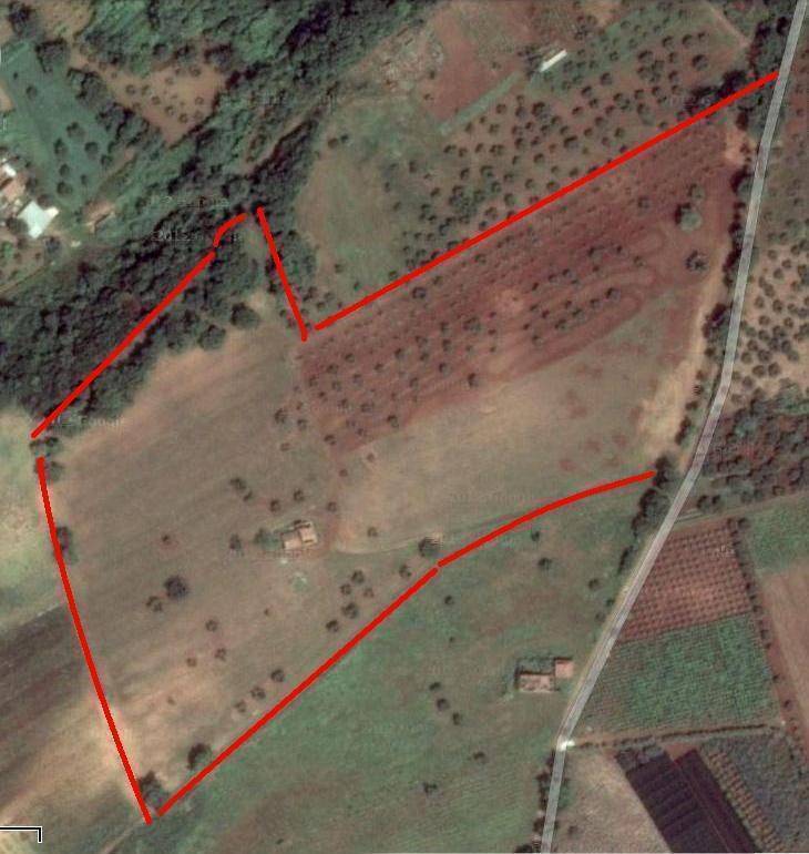 terreno agricolo in vendita a Scalea