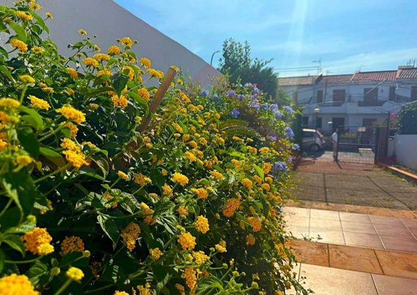 appartamento in vendita a Scalea