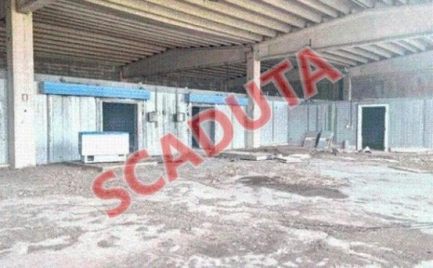 pentavano in vendita a Scalea