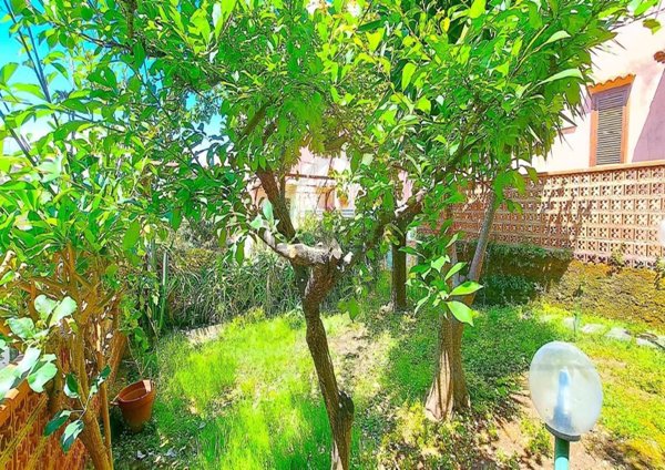 appartamento in vendita a Scalea