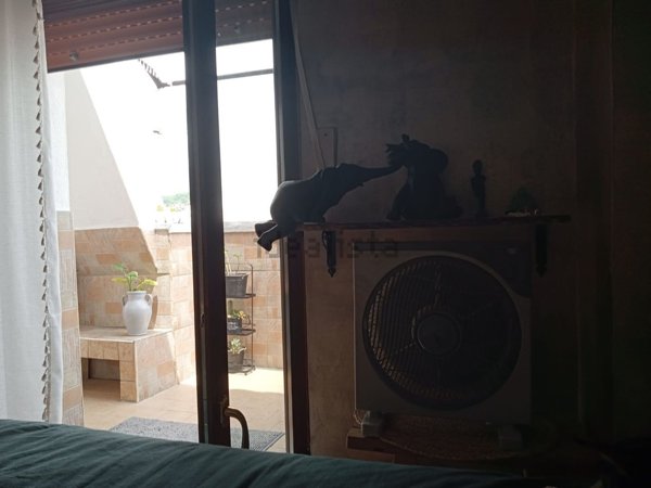 appartamento in vendita a Scalea