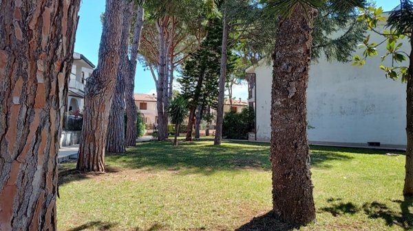 casa indipendente in vendita a Scalea