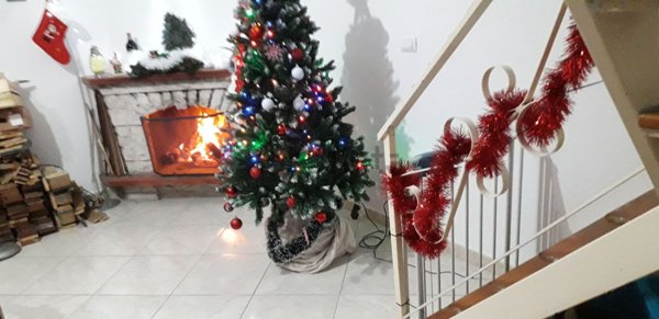 quadrivano in vendita a Scalea