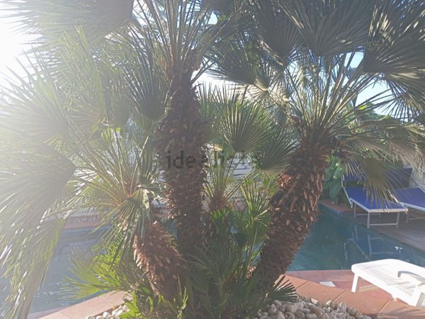 casa indipendente in vendita a Scalea