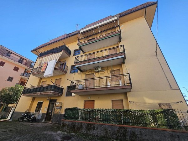 appartamento in vendita a Scalea