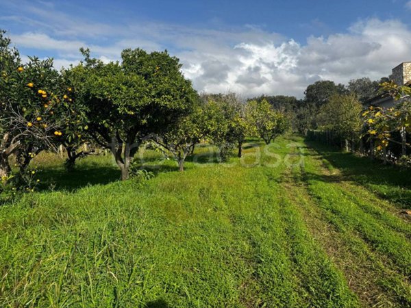 casa indipendente in vendita a Scalea