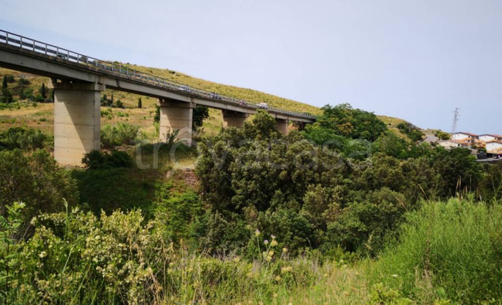 terreno agricolo in vendita a Scalea