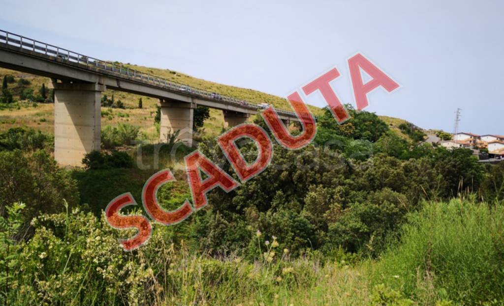 terreno agricolo in vendita a Scalea