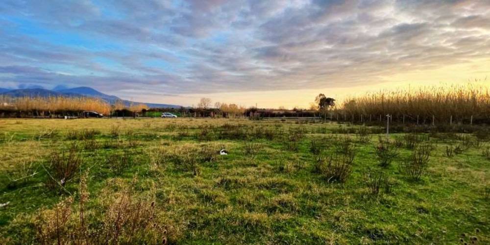 casa indipendente in vendita a Scalea