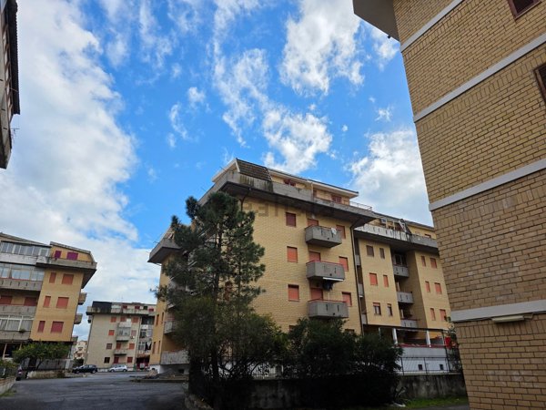 appartamento in vendita a Scalea