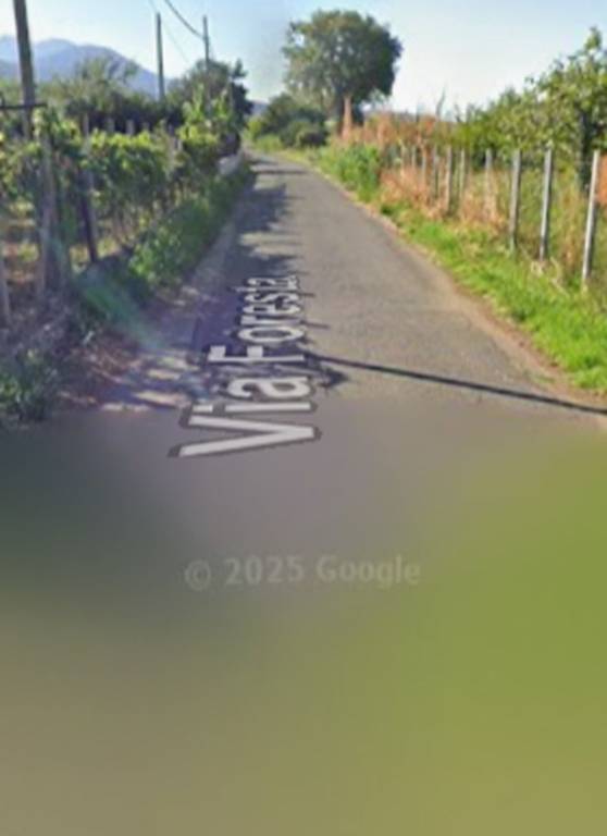 terreno agricolo in vendita a Scalea