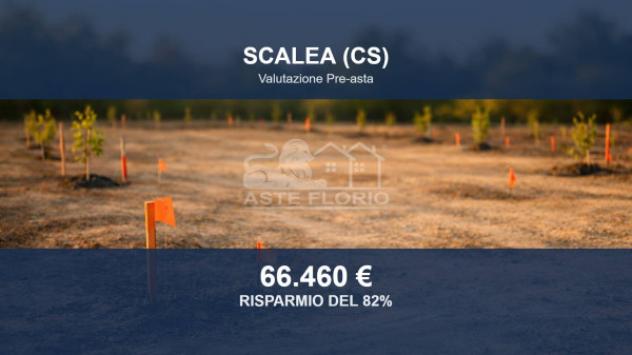 terreno agricolo in vendita a Scalea