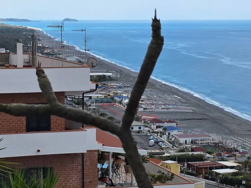appartamento in vendita a Scalea