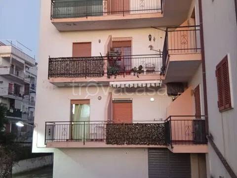 appartamento in vendita a Scalea