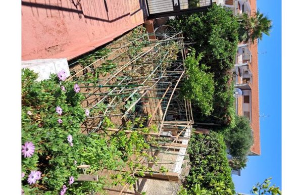 casa indipendente in vendita a Scalea