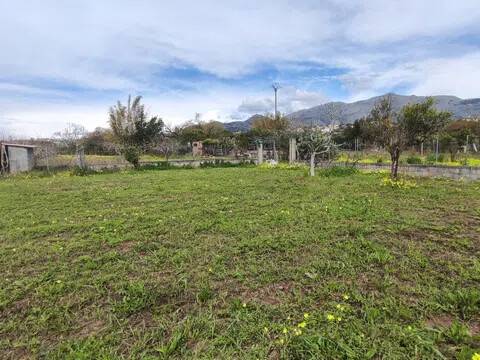 terreno agricolo in vendita a Scalea