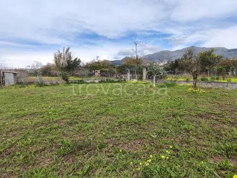 terreno agricolo in vendita a Scalea