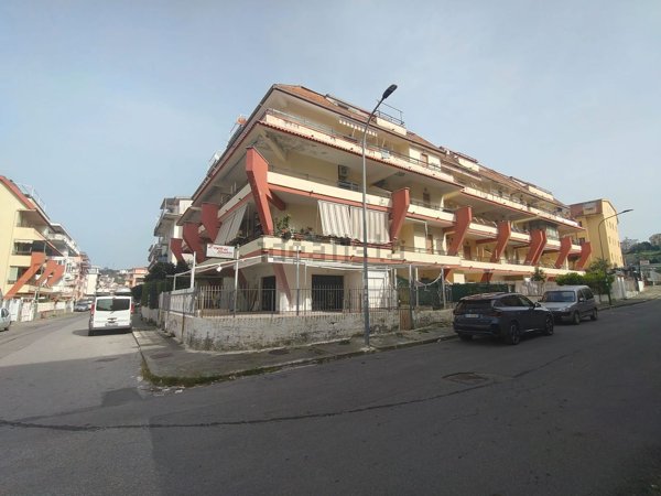 appartamento in vendita a Scalea